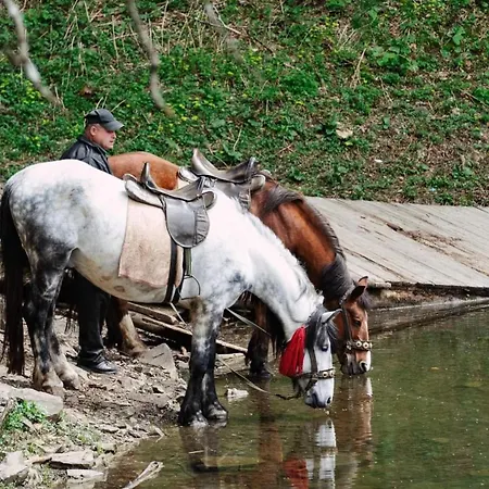 карпати Fest Villa