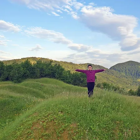 карпати Fest *