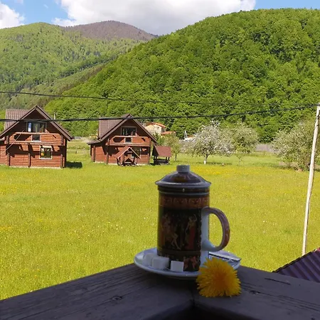 карпати Fest Mizhhirya (Transcarpathia)