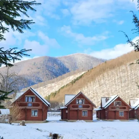 Villa карпати Fest *