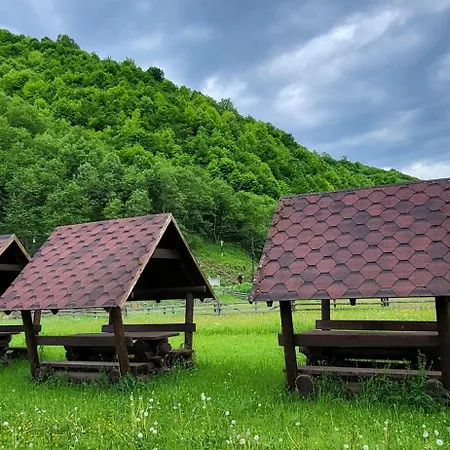 карпати Fest Villa