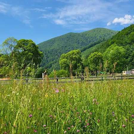 Villa карпати Fest Mizhhirya (Transcarpathia)