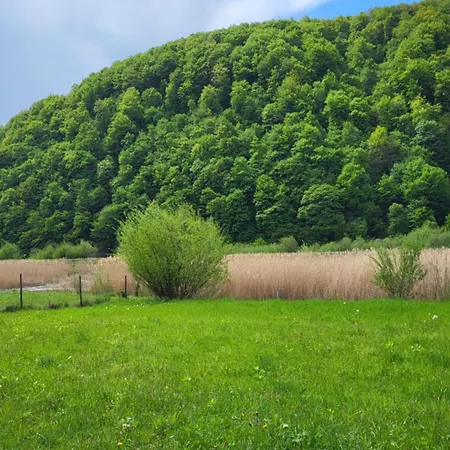 карпати Fest *