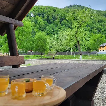 карпати Fest Mizhhirya (Transcarpathia)