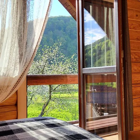 Villa карпати Fest *