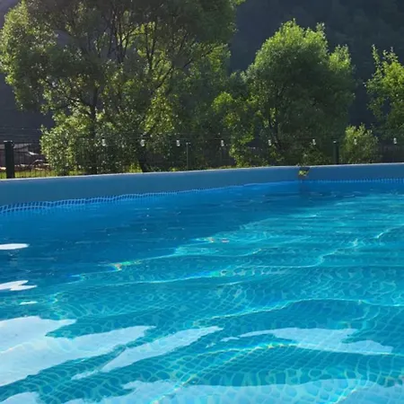 Villa карпати Fest