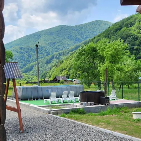 карпати Fest Villa