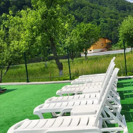 Villa карпати Fest