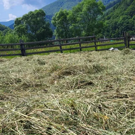 ヴィラ карпати Fest *