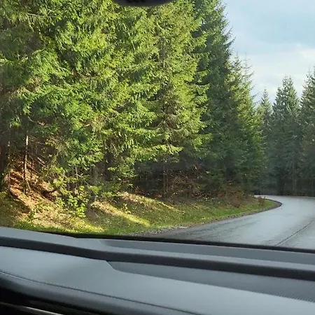 карпати Fest Вилла *