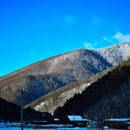 Вилла карпати Fest