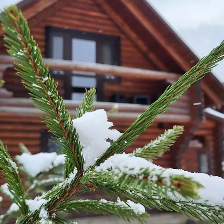 карпати Fest Mizhhirya (Transcarpathia)