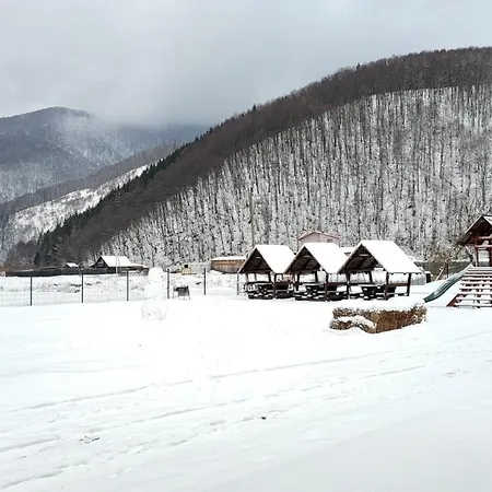 карпати Fest *