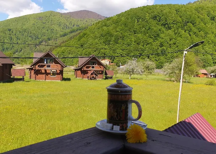 карпати Fest Mizhhirya (Transcarpathia)