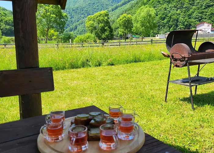 карпати Fest