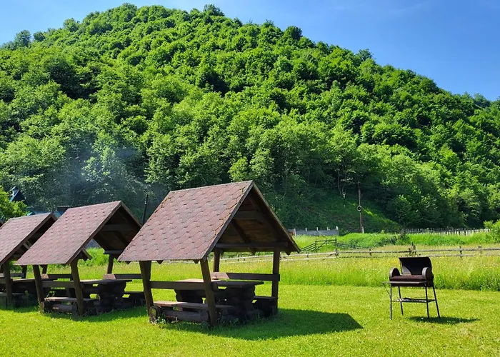 Villa карпати Fest Mizhhirya (Transcarpathia)