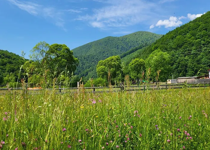 Villa карпати Fest Mizhhirya (Transcarpathia)