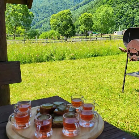 карпати Fest