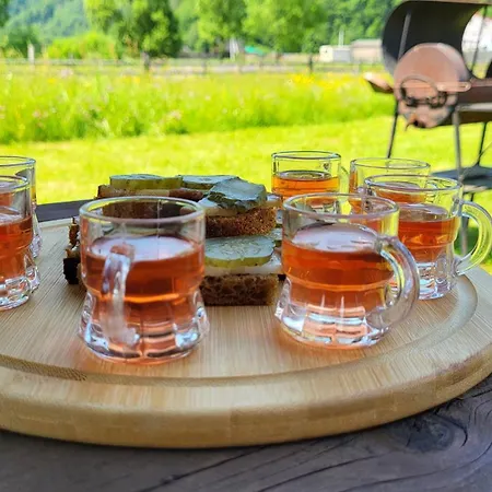 карпати Fest וילה Mizhhirya (Transcarpathia)